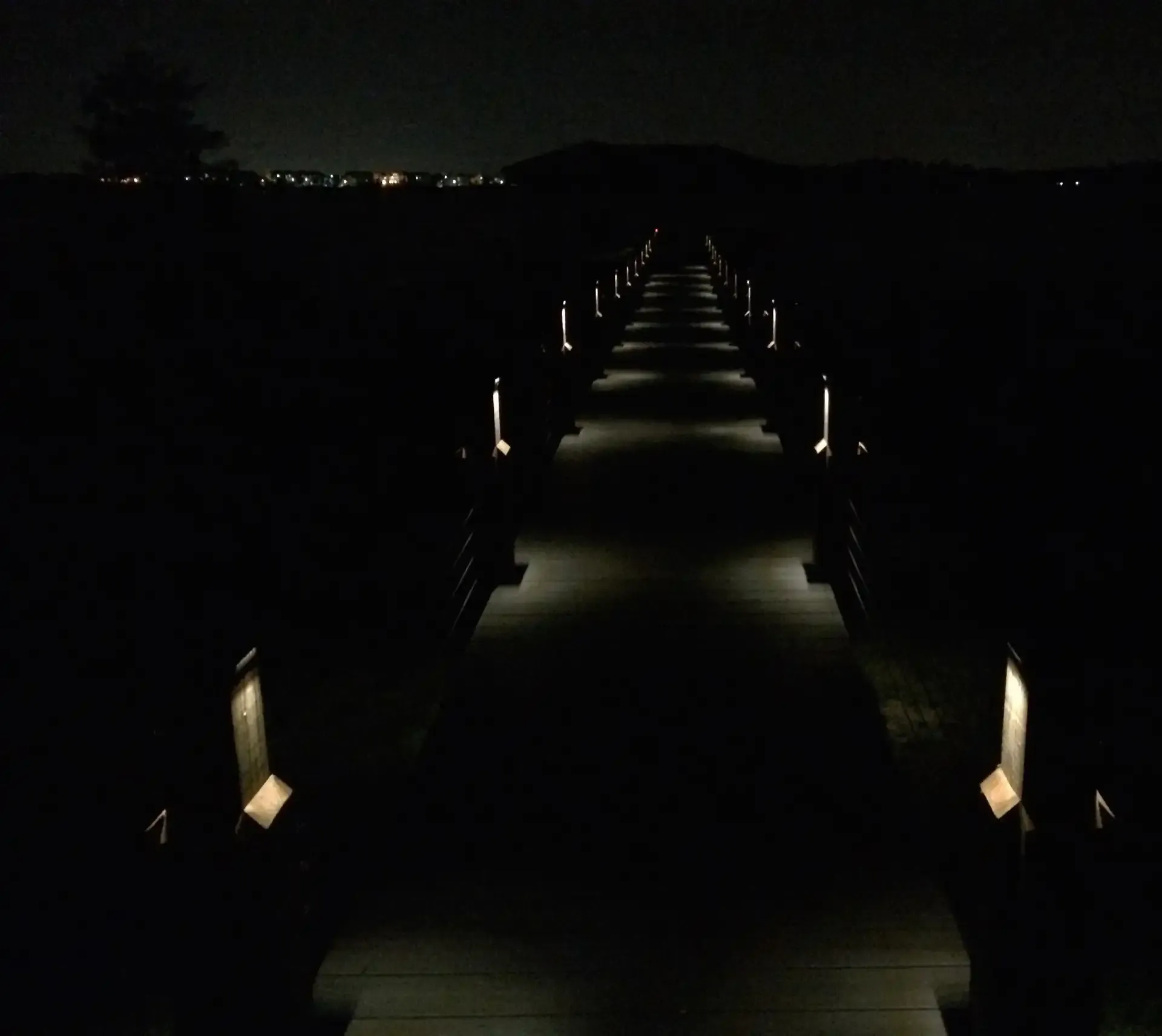 photo of lighted walkway leading out to a dock